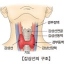 갑상선 중독증 (Thyrotoxicosis) 이미지