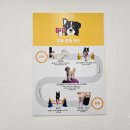 zoefit | 평촌 강아지 운동 - 조이핏 , 독피트니스 전문기관