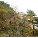 삼성사슴농장 이미지