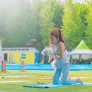 매너독반려견교육센터 이미지