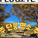 콩마루 사임당두부 이미지