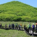 곰배령화원 이미지
