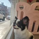 초이미용실 이미지