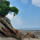 기암1리 이미지