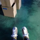 비제이팜 이미지