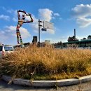 다문화센터 앞 횡단보도 이미지