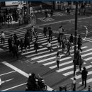 횡단보도 부근 이미지