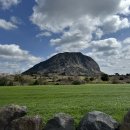 그래도 꽃 이미지