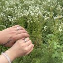 대구남산동우체국 | [명동] 기념일 이색데이트, 커플링 만들기 원데이 클래스 '반지야놀자 명동점' (+반지 수령 후기)