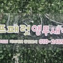 리프패럿 롯데마트 광복점 이미지