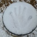 배실웨딩공원 이미지