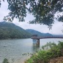 열린행정사사무소 이미지