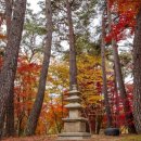 희원(HEEWON)