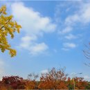 부평공원 이미지