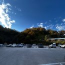 필전자 | 창녕 함안 남지 카페 숲필 크리스마스 분위기 내돈내산 방문 후기