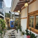 피그스토리 동물병원 이미지