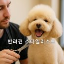 반려견스타일리스트 자격취득과정-기초 | 🐶 반려견스타일리스트 자격증 취득법｜응시 자격·실기 준비·수익모델·창업 체크리스트