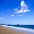 바다정원 이미지