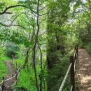 편백숲작은공간 이미지