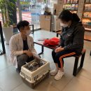 서울동물복지지원센터 동물병원(구로) 이미지