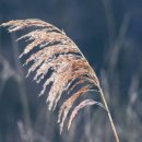 해강냉장 이미지