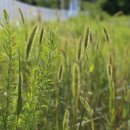 주식회사 테미스 이미지