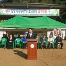 삼문공설운동장 이미지