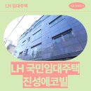 대림로 | 진성에코빌 임대주택 거주 후기, 영등포구 대림로 생활권 분석 | 서울 영등포구 대림로22길 13-1