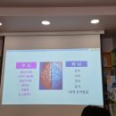 사직동_어린왕자 어린이서점 (영유아 뇌 발달&그림책 이해 교육)