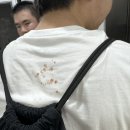배방 유도관 이미지