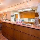 오랄아트 이미지