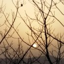 진동농협주유소 이미지