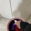 평촌유워시 셀프세차장 이미지