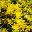 두소경로당 이미지