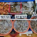 대신수산 이미지