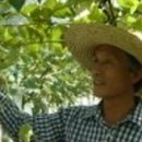 시원농원 이미지