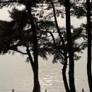 장항오토캠핑장 이미지