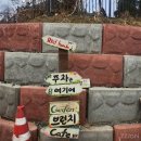 부여 맛집 여행 중 찾은 이색 카페 수북로1945 후기