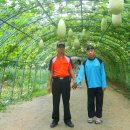 장애인친구샘터뭉침회 이미지