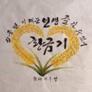 캘리팜