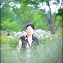 숲피아