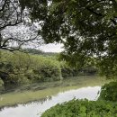 하천(갑천4) | [대전 가볼만한곳] 핑크빛 솜사탕 물결! 🌸 인생샷 터지는 '하천생태공원' (feat. 귀요미 수달)