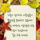 점점 Daum카페