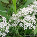 사돈농장 이미지