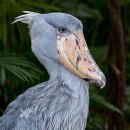 예쁘장이 이미지