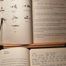 도서출판마루벌