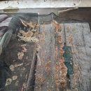 박상구 농장 이미지