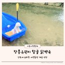 장흥포차 | 양주애견동반 계곡식당 장흥유원지 닭백숙 탑골 장흥계곡맛집