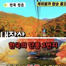 11/7(목)백암산 내장산/ 백양사 내장사 단풍 트레킹 (장성/정읍)출발06시50분 이미지