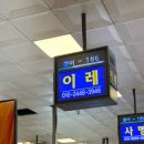 이레 | 노량진수산시장 횟집 어디 갈지 고민된다면｜대방어 모듬회 회포장 이레상회 후기